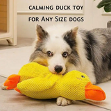 Best Friends Calming Duck Plush Toy for Dogs & Cats