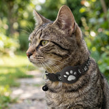 Reflective AirTag Pet Collar – Nylon Safety Buckle