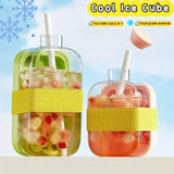 Portable Ice Maker Bottle with Straw – 500ml & 800ml